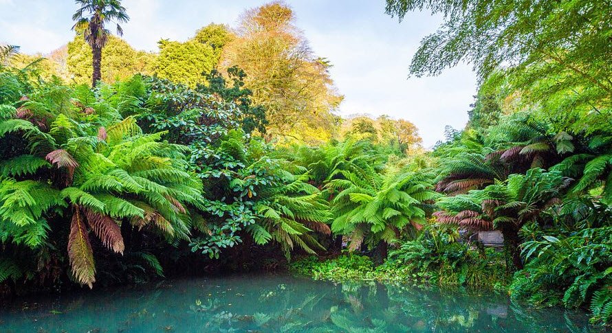Trebah Garden , United Kingdom